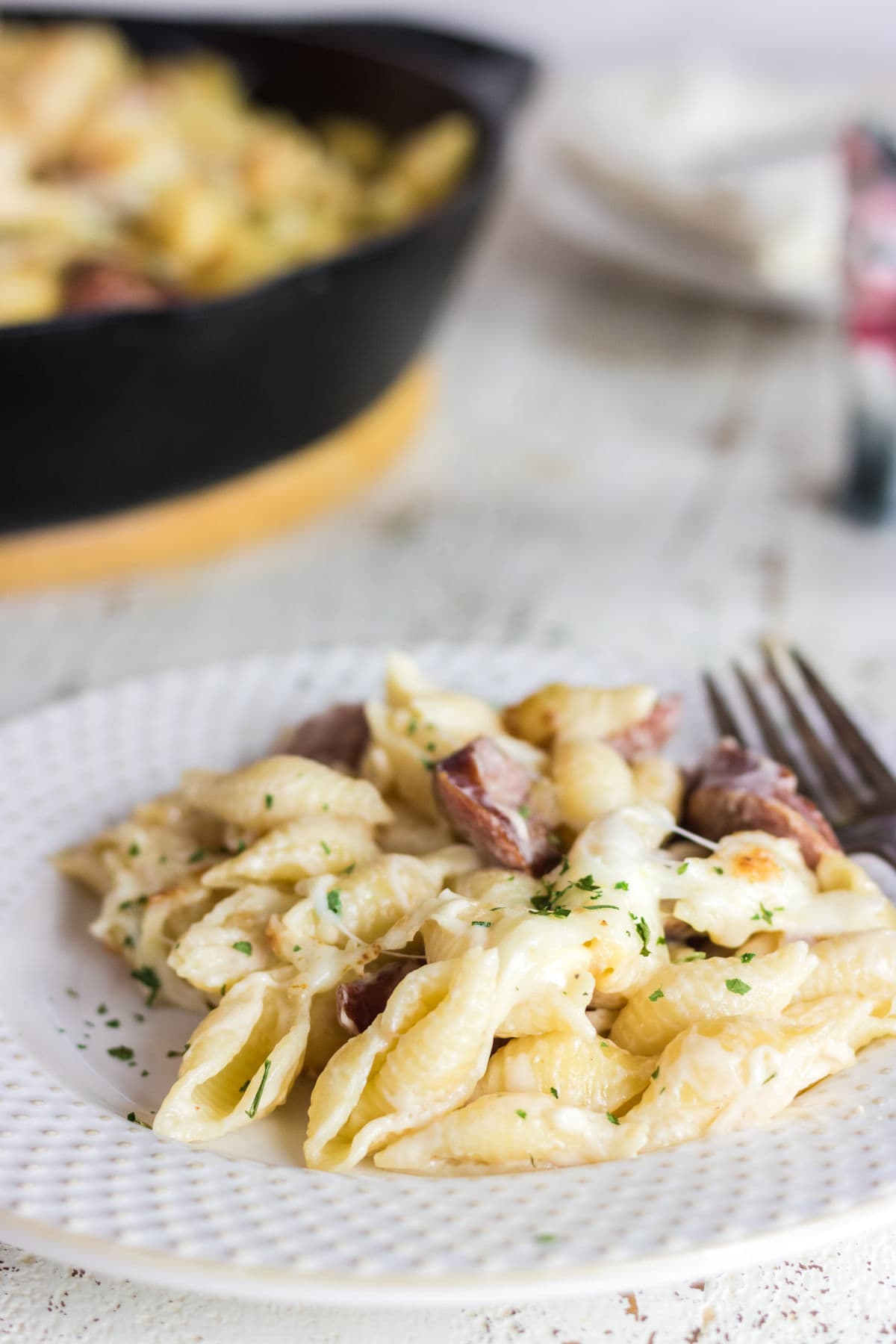 Plateful of creamy Alfredo pasta.
