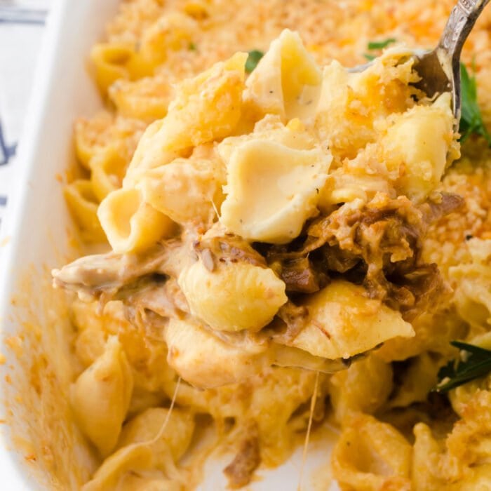 A close up of a serving of creamy mac and cheese with tangy pulled pork bbq in it.
