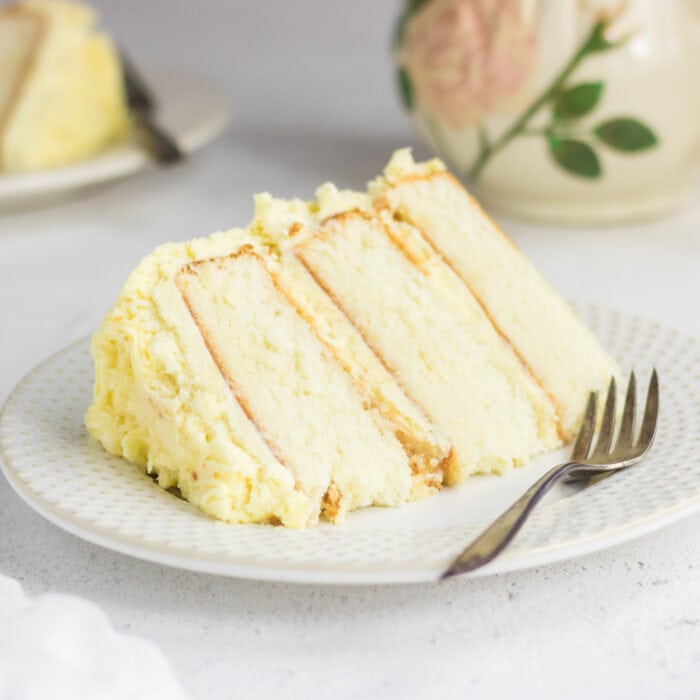 Closeup of a slice of cake.