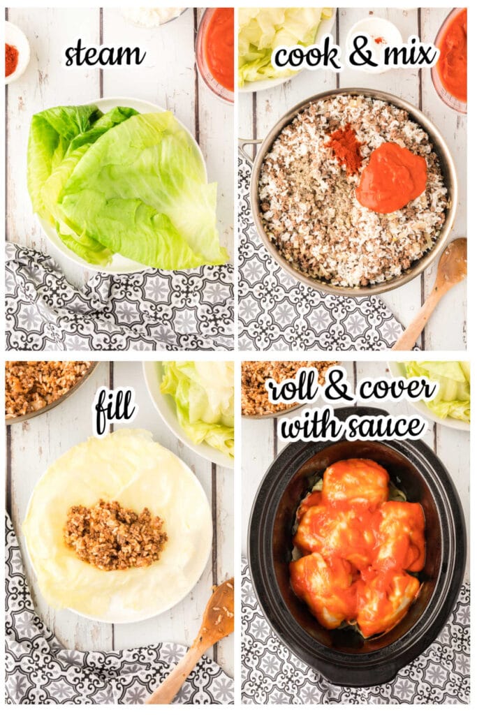 Step by step images showing how to make cabbage rolls.
