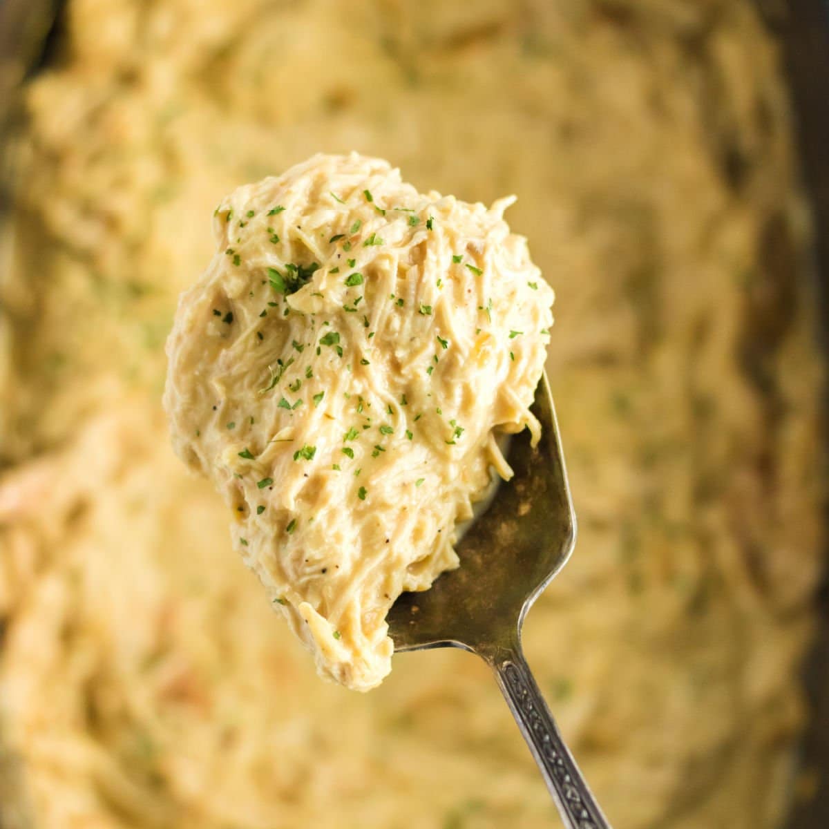 Closeup of a serving spoon filled with chicken and gravy for the feature images.