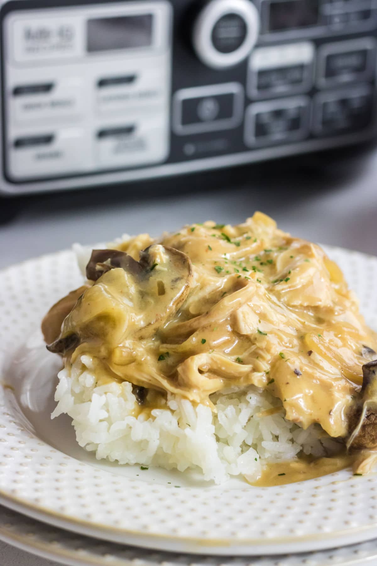 Closeup of chicken spooned over rice on a white plate.