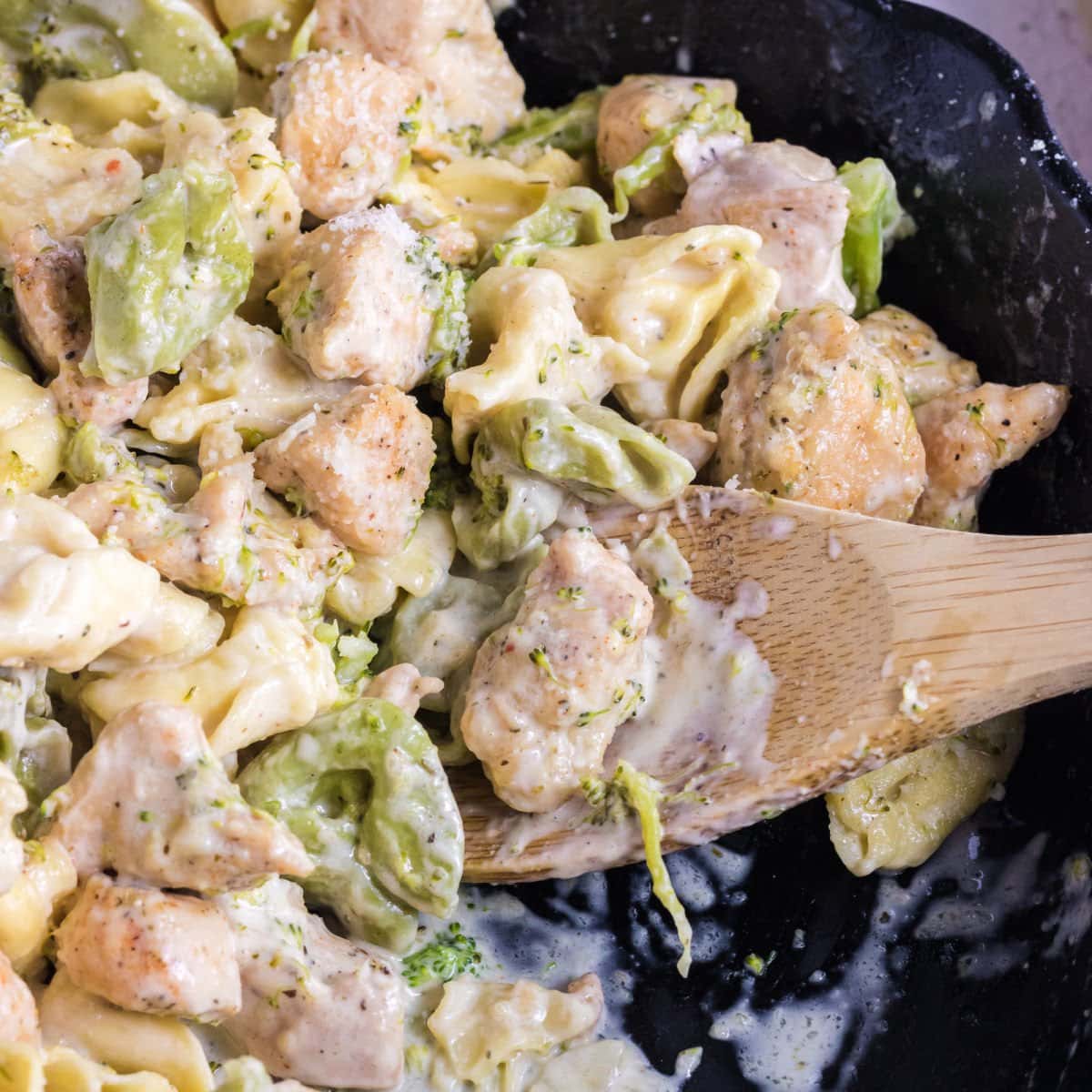 Closeup of the tortellini alfredo in a pan.