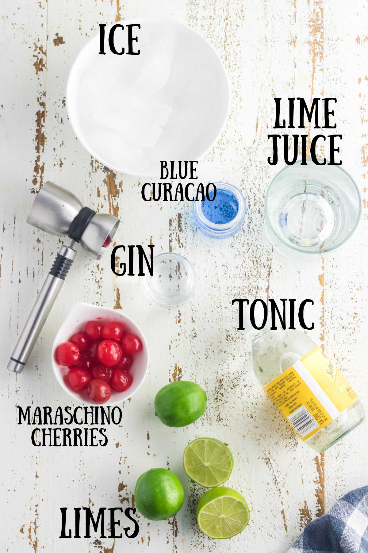 Ingredients for Gin and Tonic