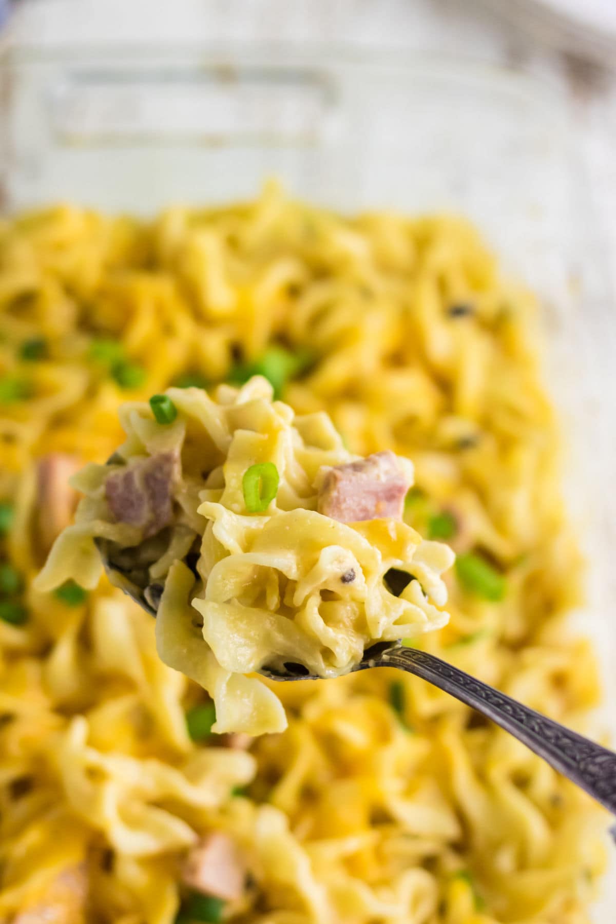 Closeup of a serving spoon with ham and noodle casserole on it.