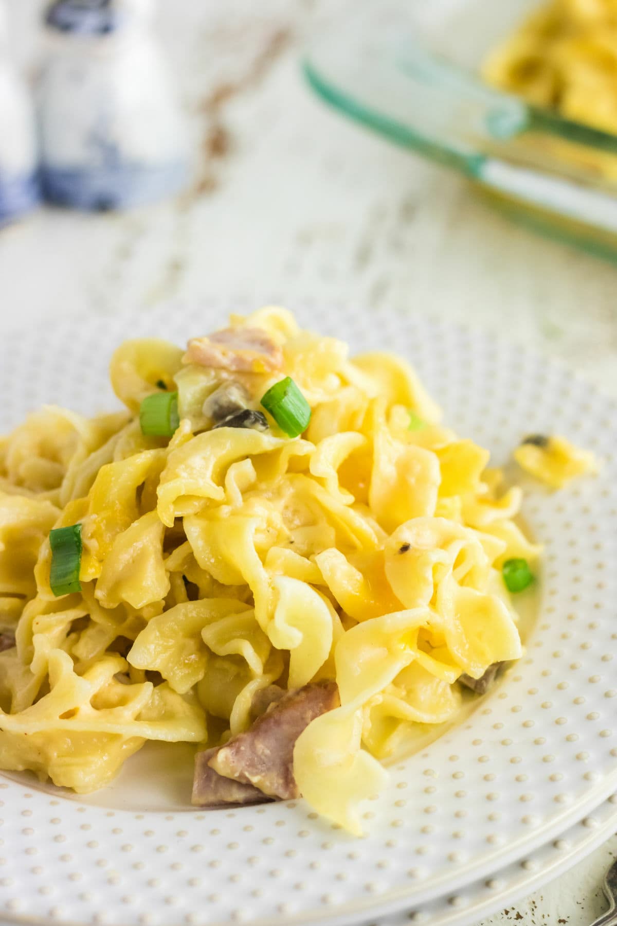 Closeup of a plate of noodle casserole