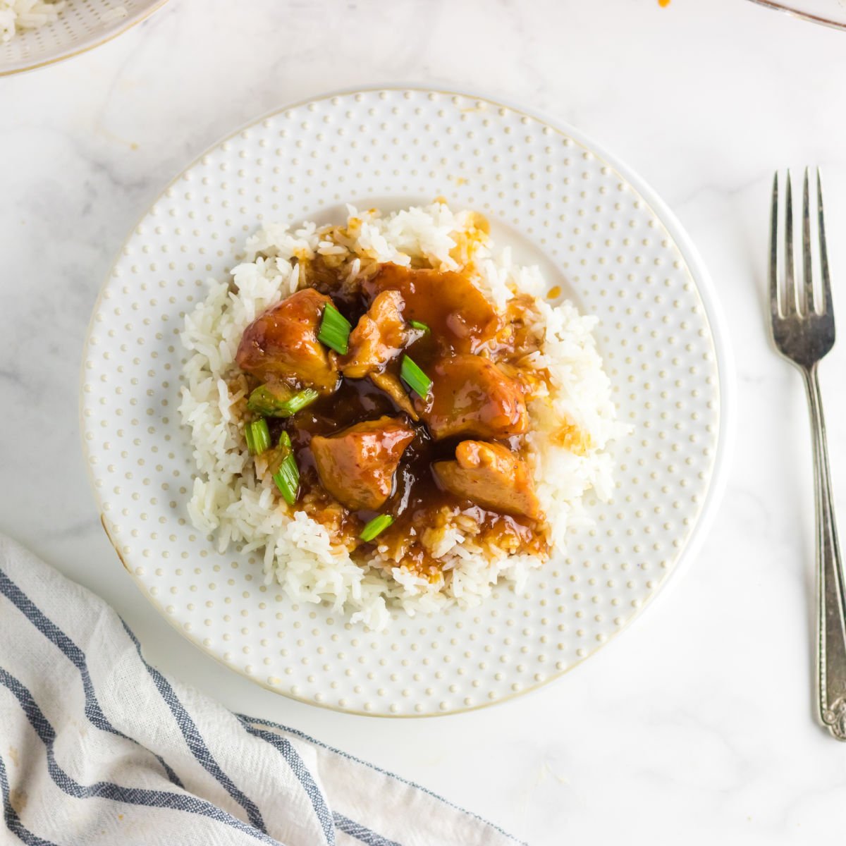 Overhead view of a plate with chicken spooned over rice.