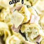 Tortellini with a creamy sauce on a serving spoon with text for Pinterest.