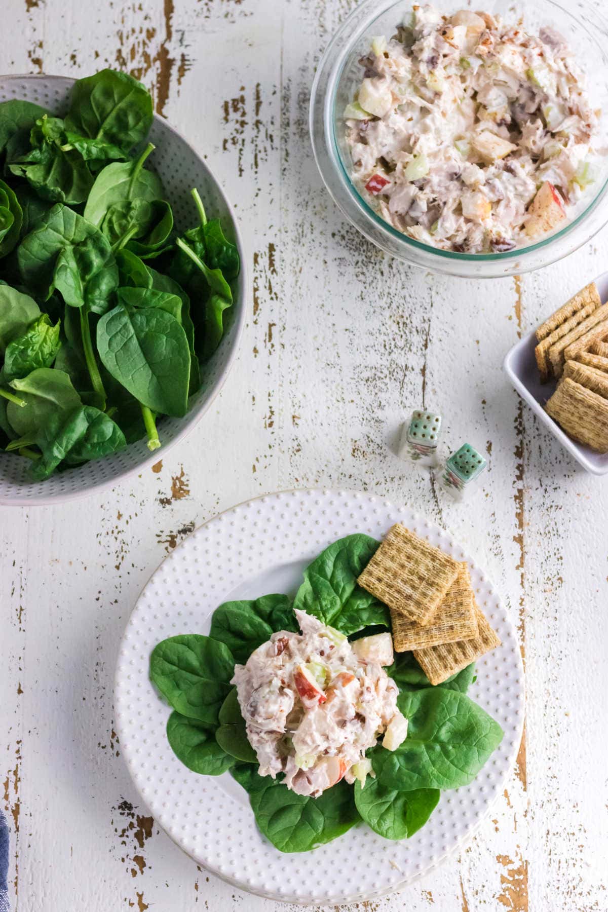 Tuna salad and crackers on a table.