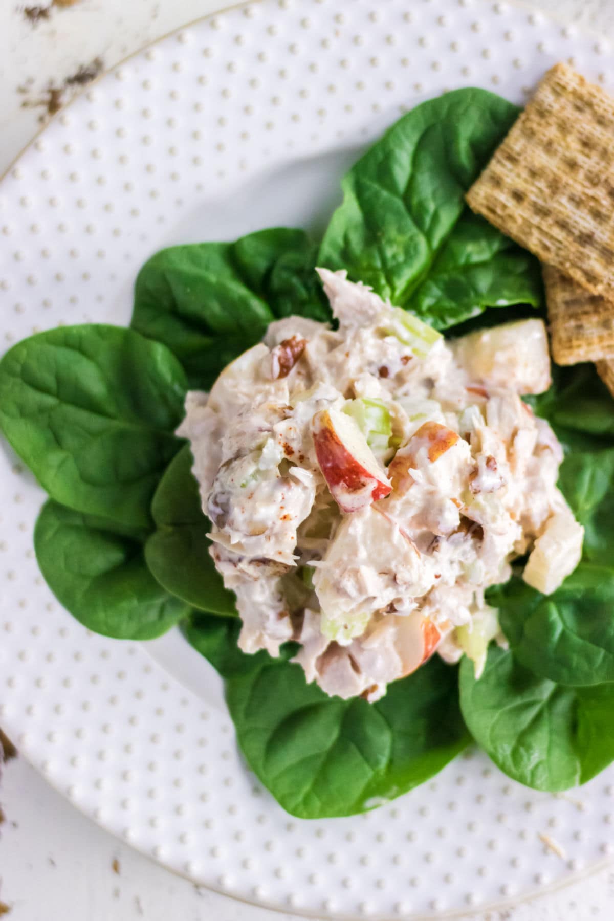 A scoop of tuna salad on spinach leaves.