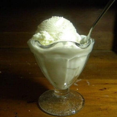 French vanilla ice cream in a ice cream dish.