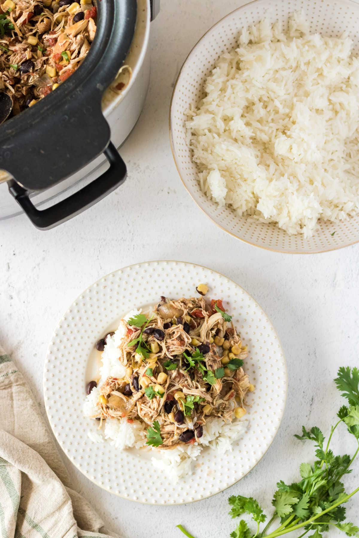 Overhead view of the chicken spooned over rice.