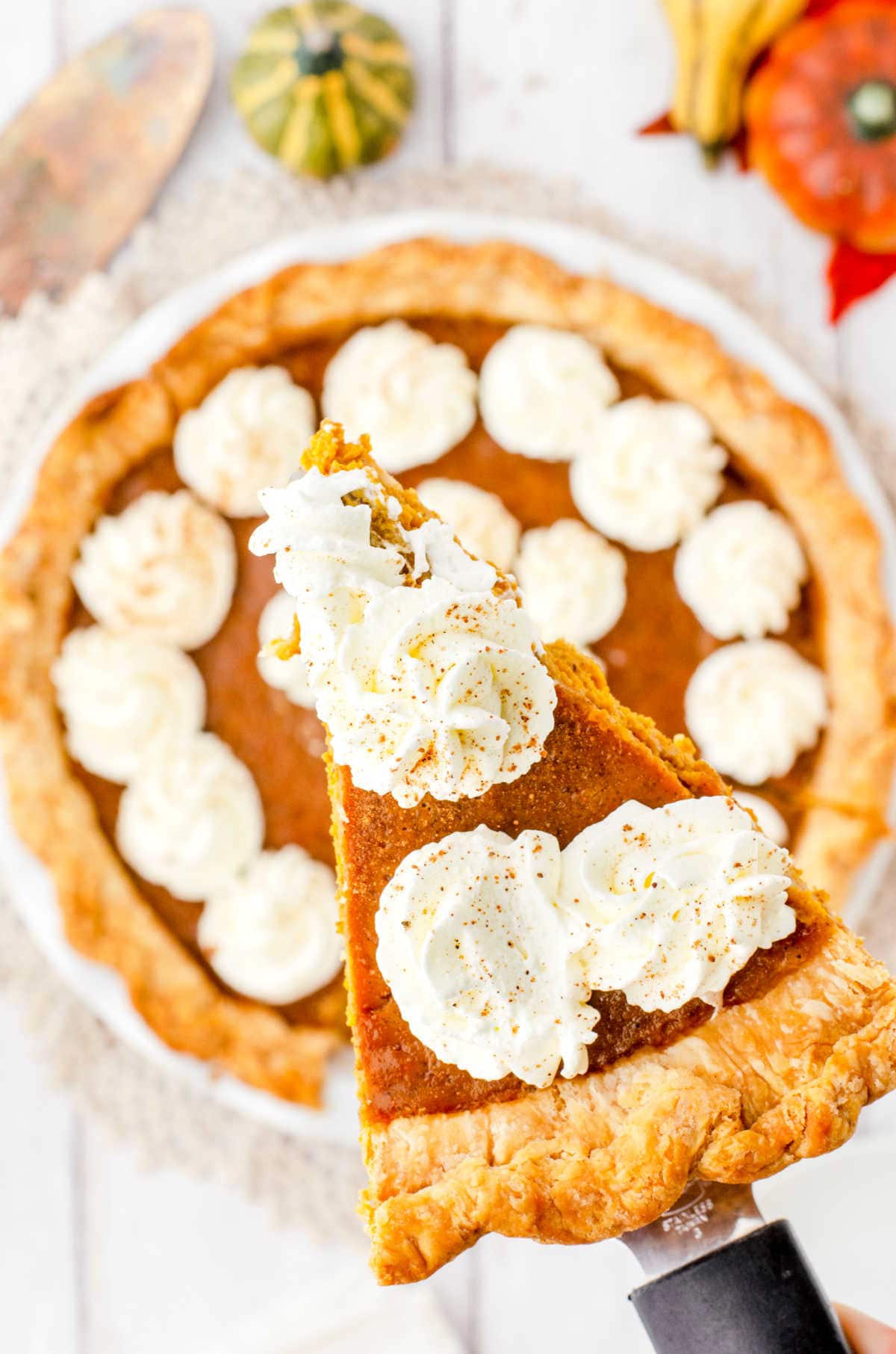 A slice of pie with whipped cream being served.