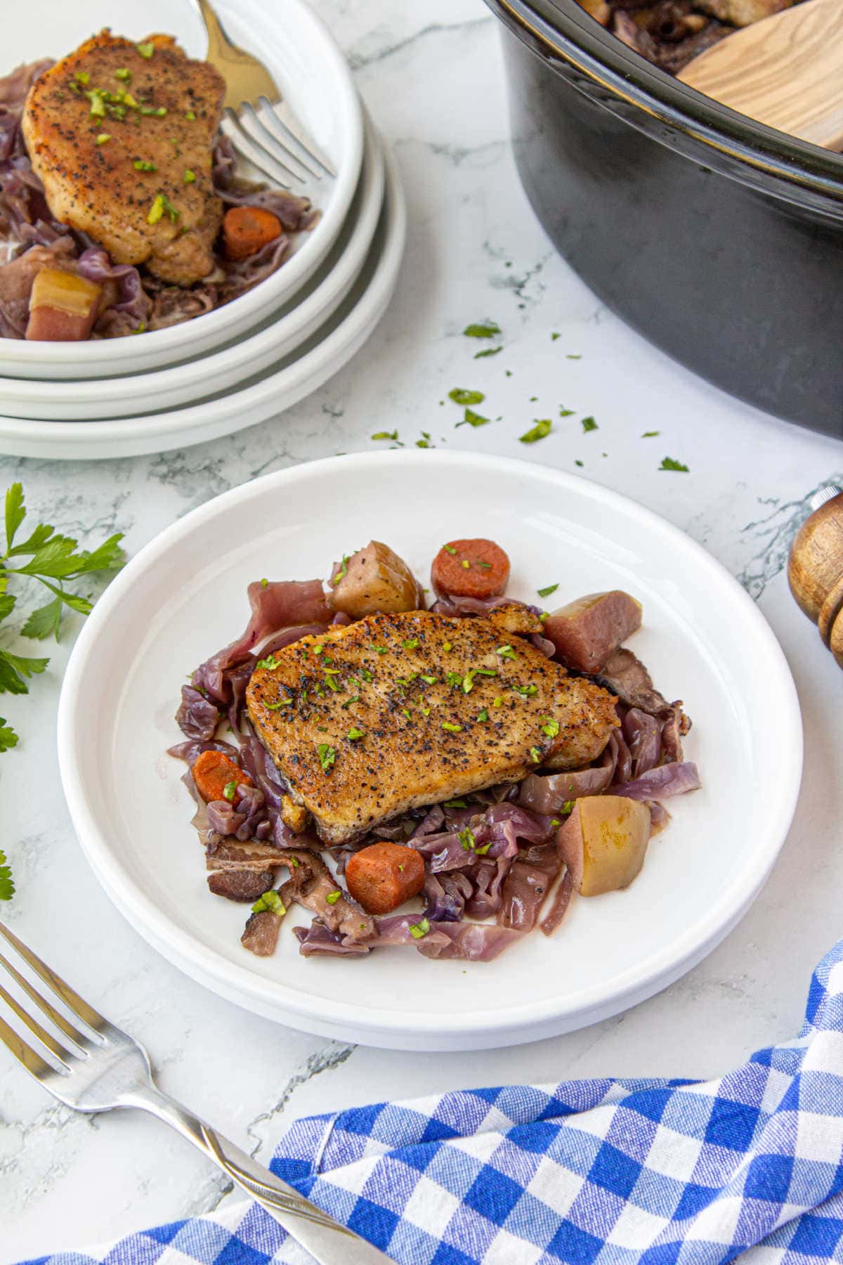 Braised pork and red cabbage on white plate