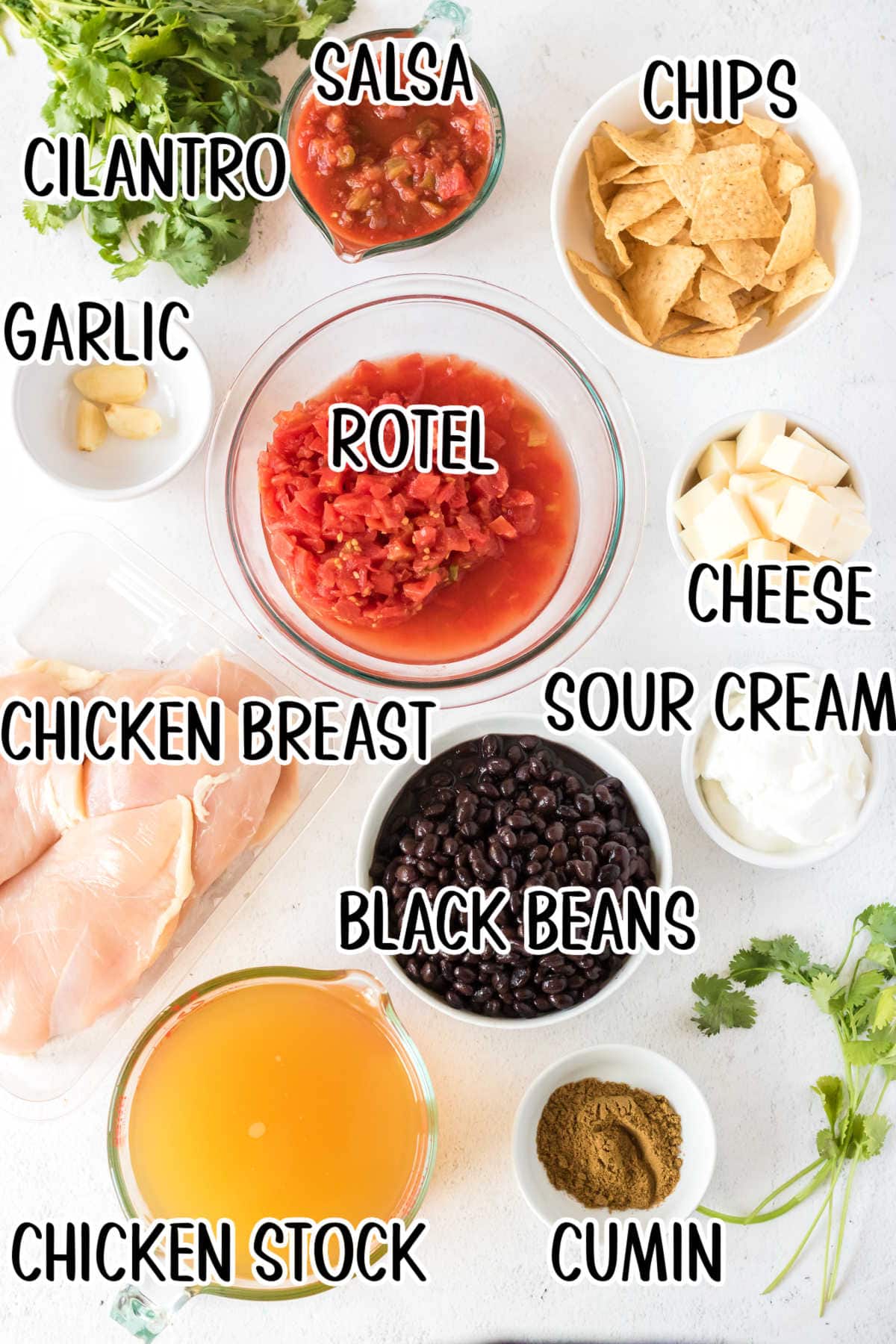 A labeled ingredients list for Chicken Tortilla Soup.