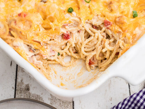 Chicken pasta cream cheese hotsell
