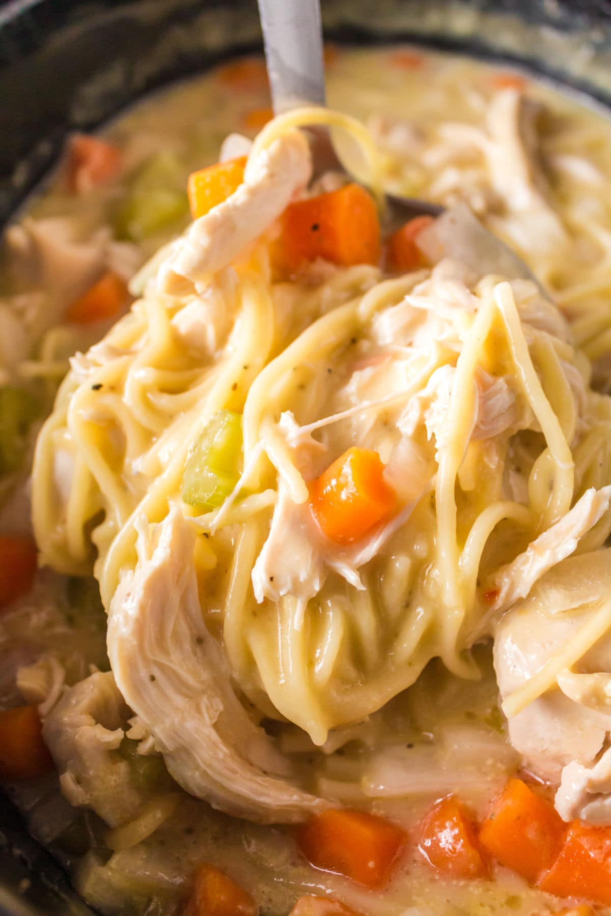 A ladle full of soup being served from the slow cooker.