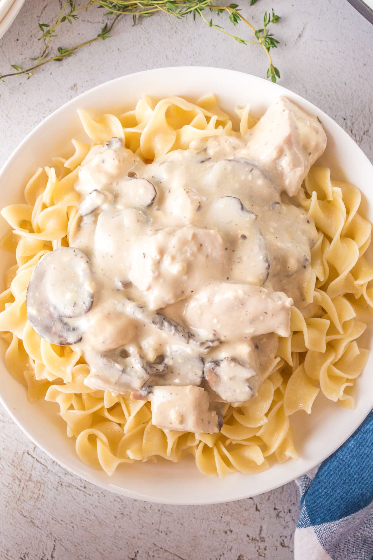 Overhead view of the stroganoff over noodles.