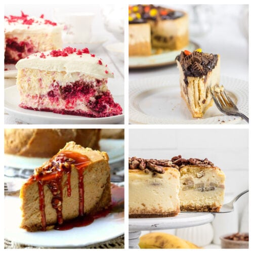Collage of four cheesecakes representing all the recipes in this post.