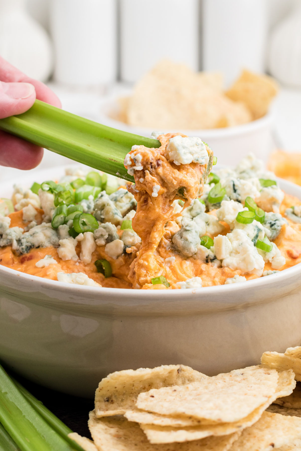 Buffalo chicken dip on celery.