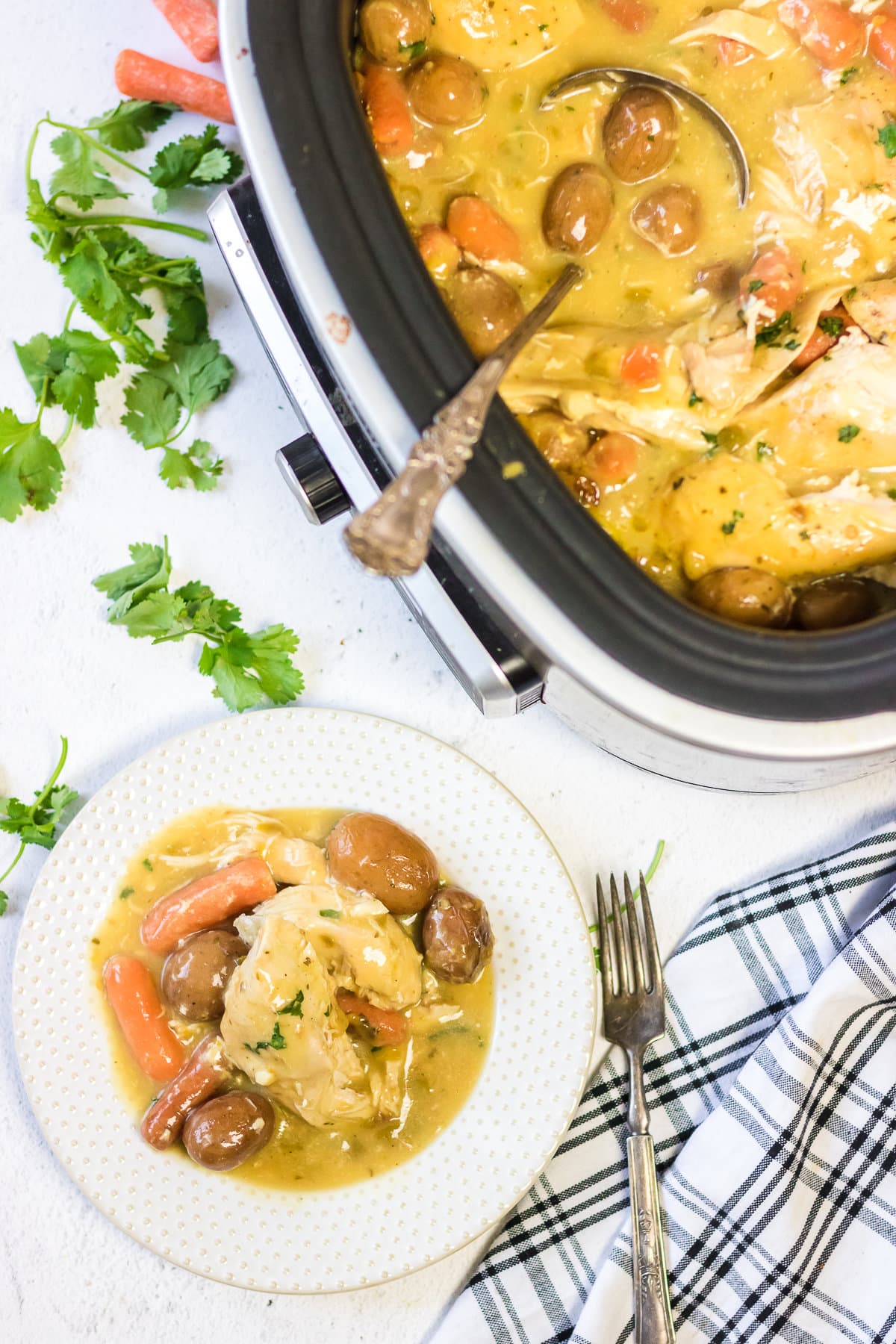 Overhead view of this dish being served from a slow cooker.