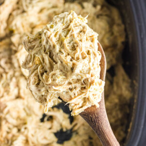 A closeup of a ladleful of chicken showing the creamy texture.