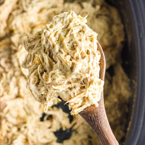 A closeup of a ladleful of chicken showing the creamy texture.