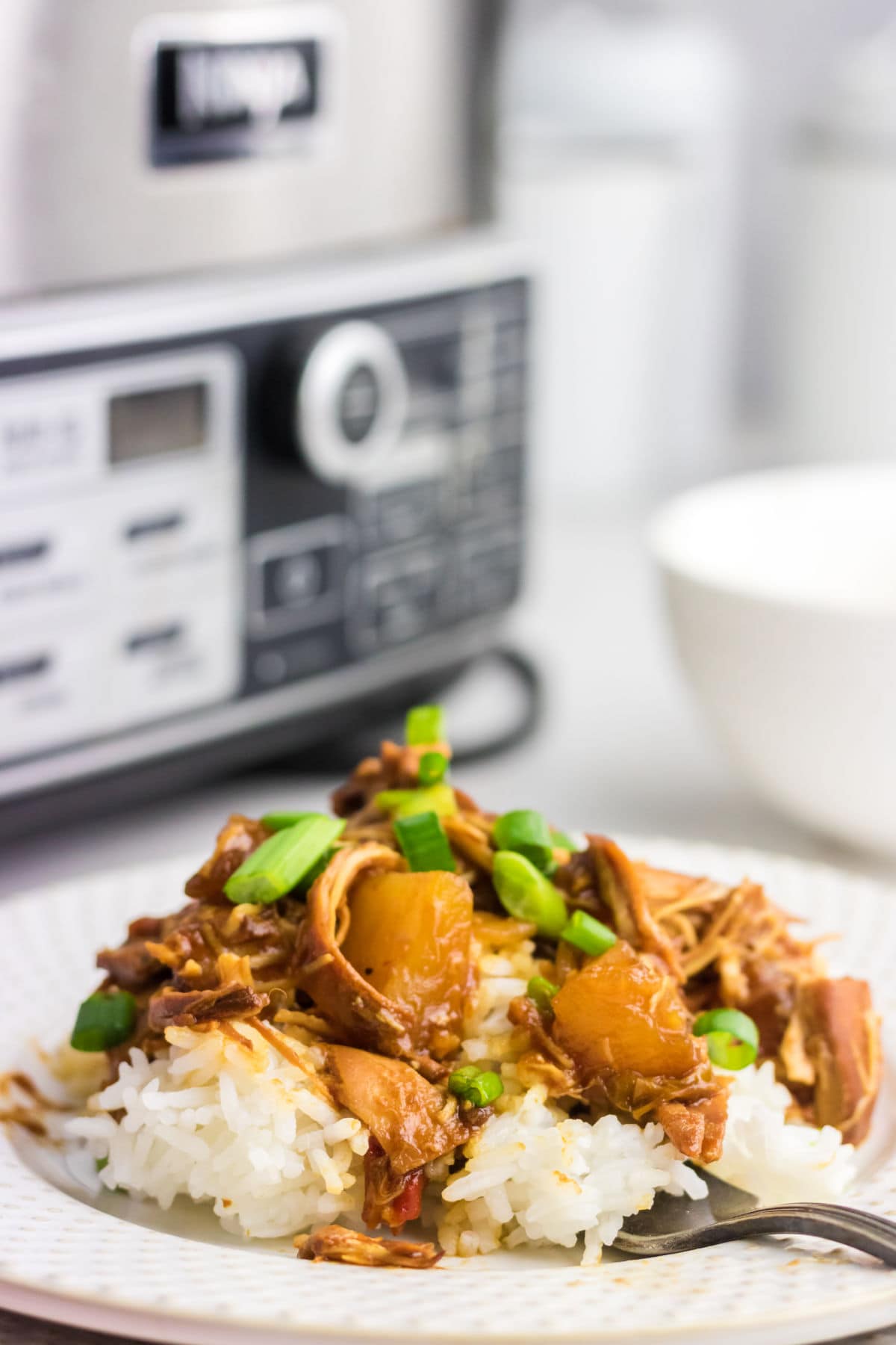 The chicken spooned over rice on a white plate.