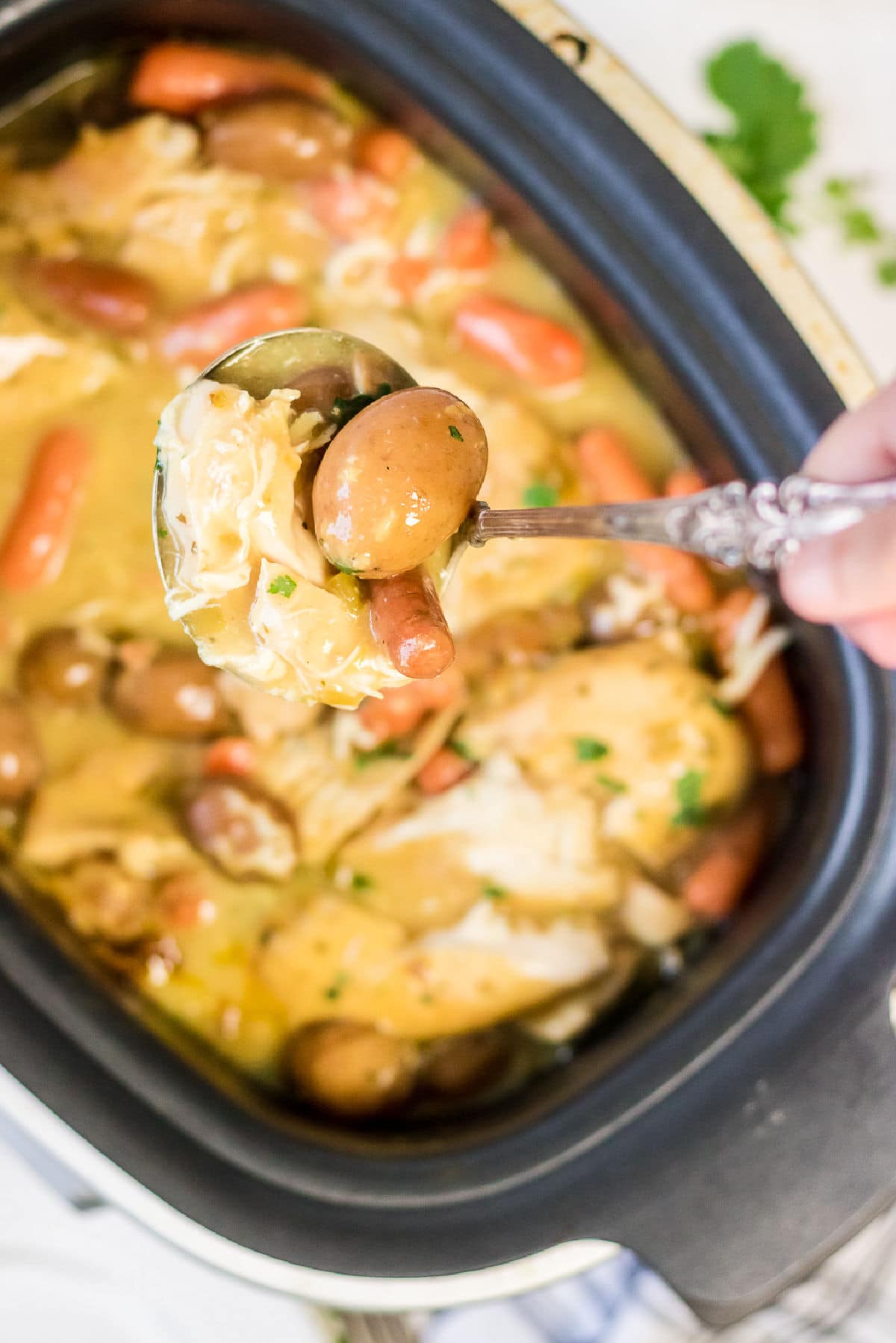 A ladleful of chicken stew being removed from the slow cooker.