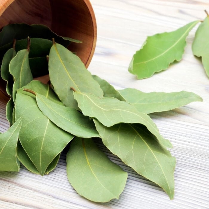 Bay leaves on a countertop.