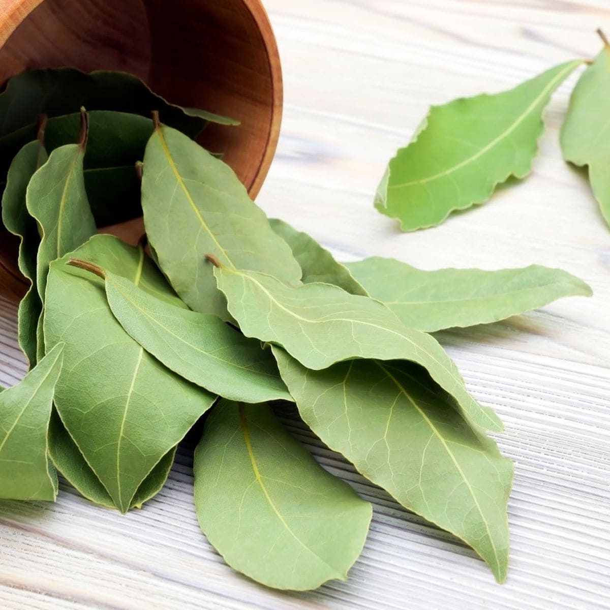 25 Essential Spices & Herbs Every Kitchen Should Have Restless Chipotle