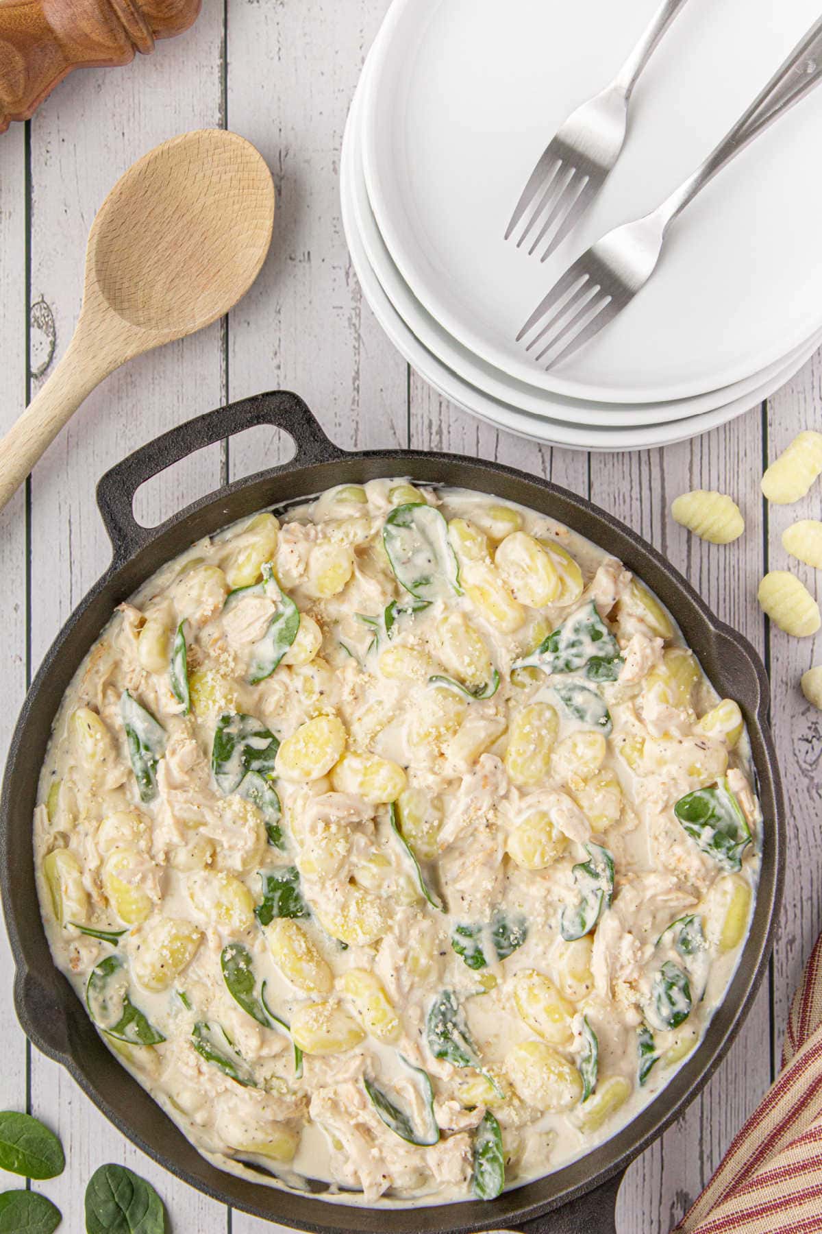 Overhead view of creamy chicken and gnocchi.