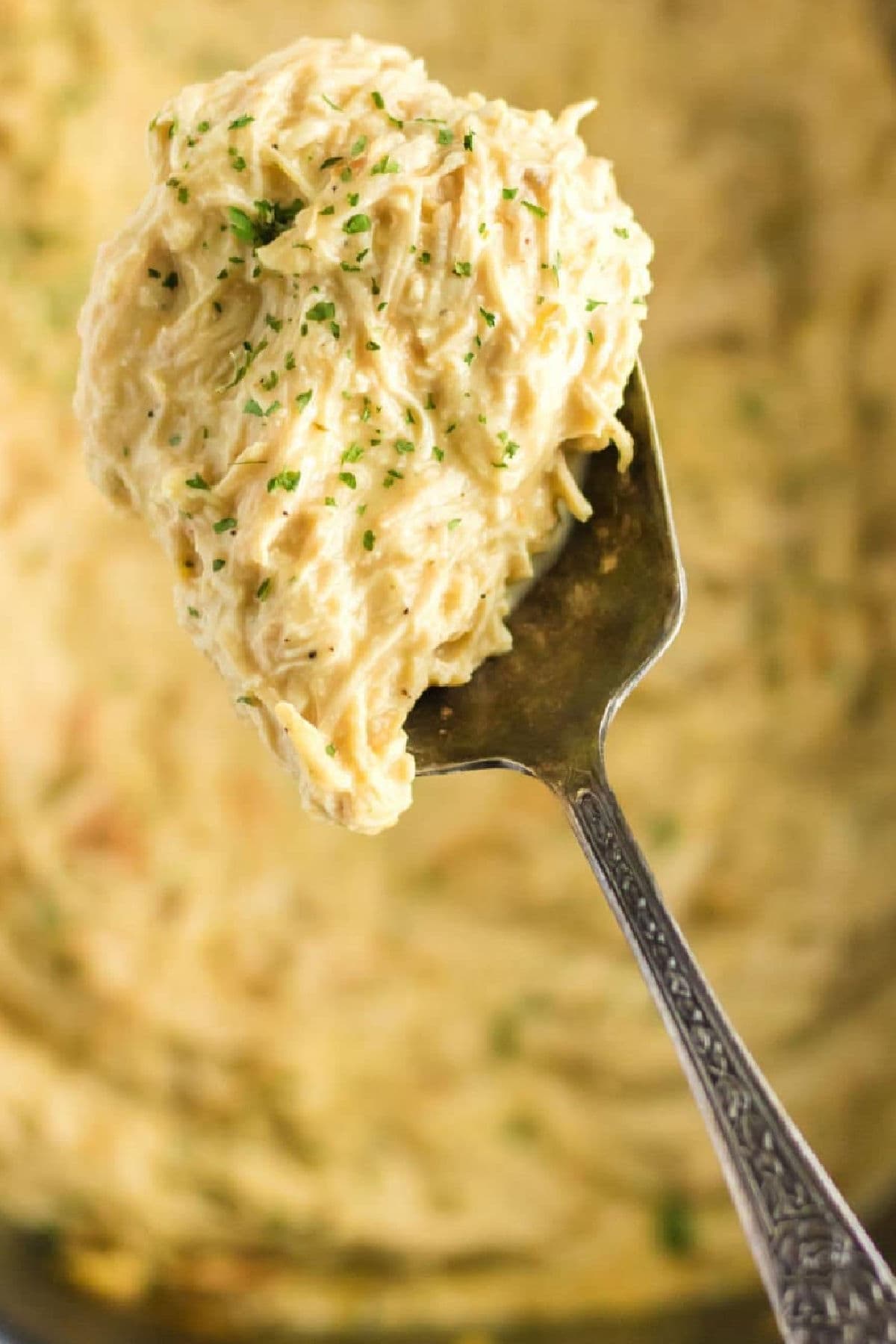 A spoonful of chicken and gravy being lifted from the crockpot.