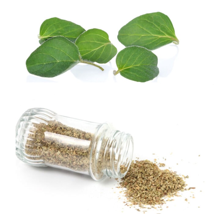 Oregano leaves and dried oregano on a white background.