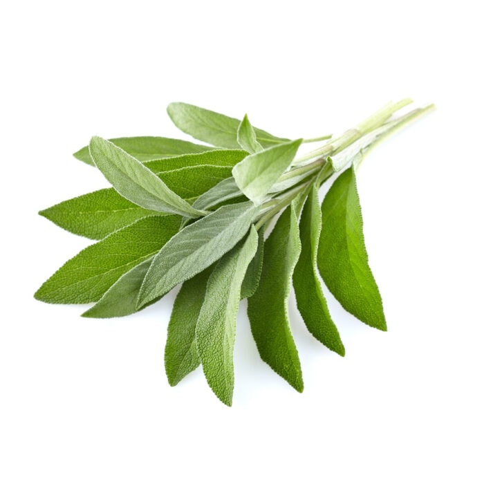 Fresh sage leaves.