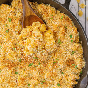 Closeup of macaroni and cheese with a breadcrumb topping.