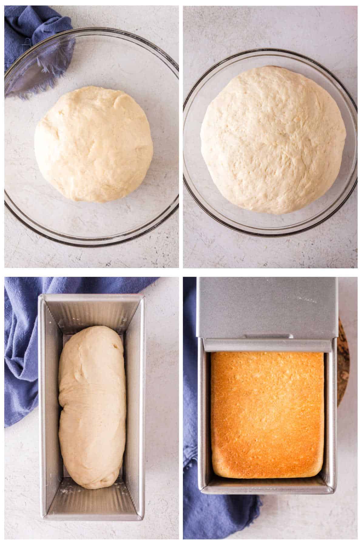 Step by step images showing how to shape the Pullman loaf bread.