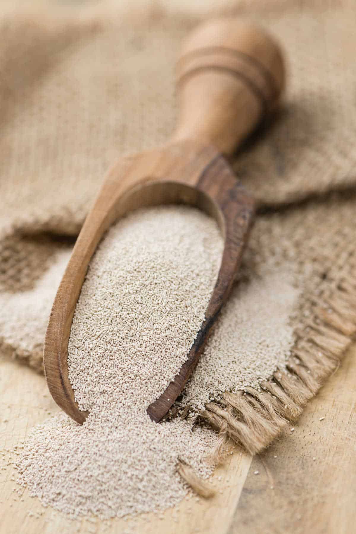 A wooden scoop with active dry yeast in it.