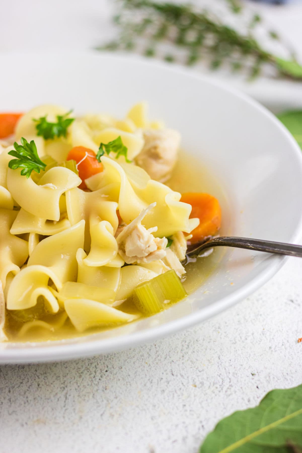 Closeup of chicken noodle soup in a white bowl.