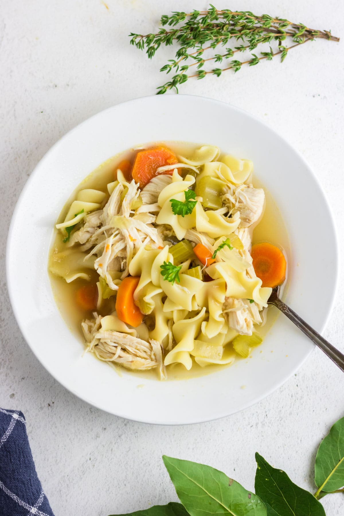 Overhead view of a bowl of chicken noodle soup.