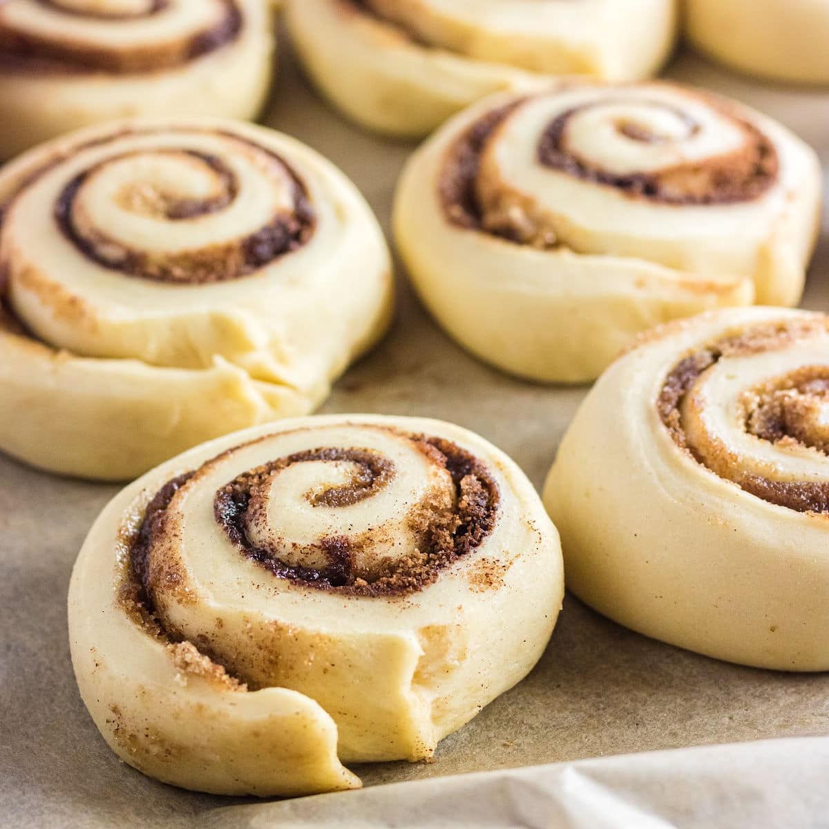 Closeup of unbaked cinnamon rolls.