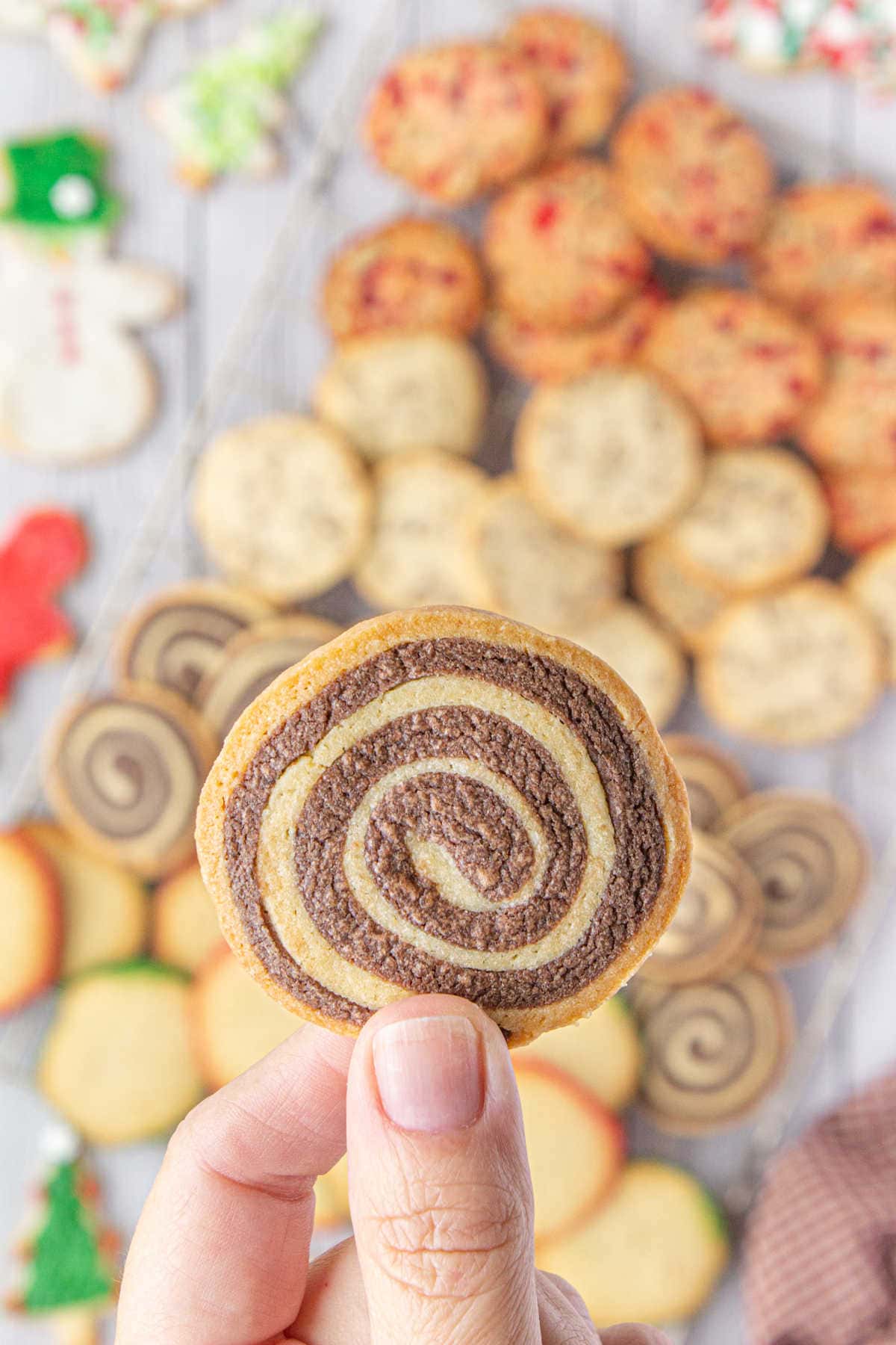 An up-close photo of a chocolate pinwheel sugar cookie. In the background, other cookies are shown on a platter.