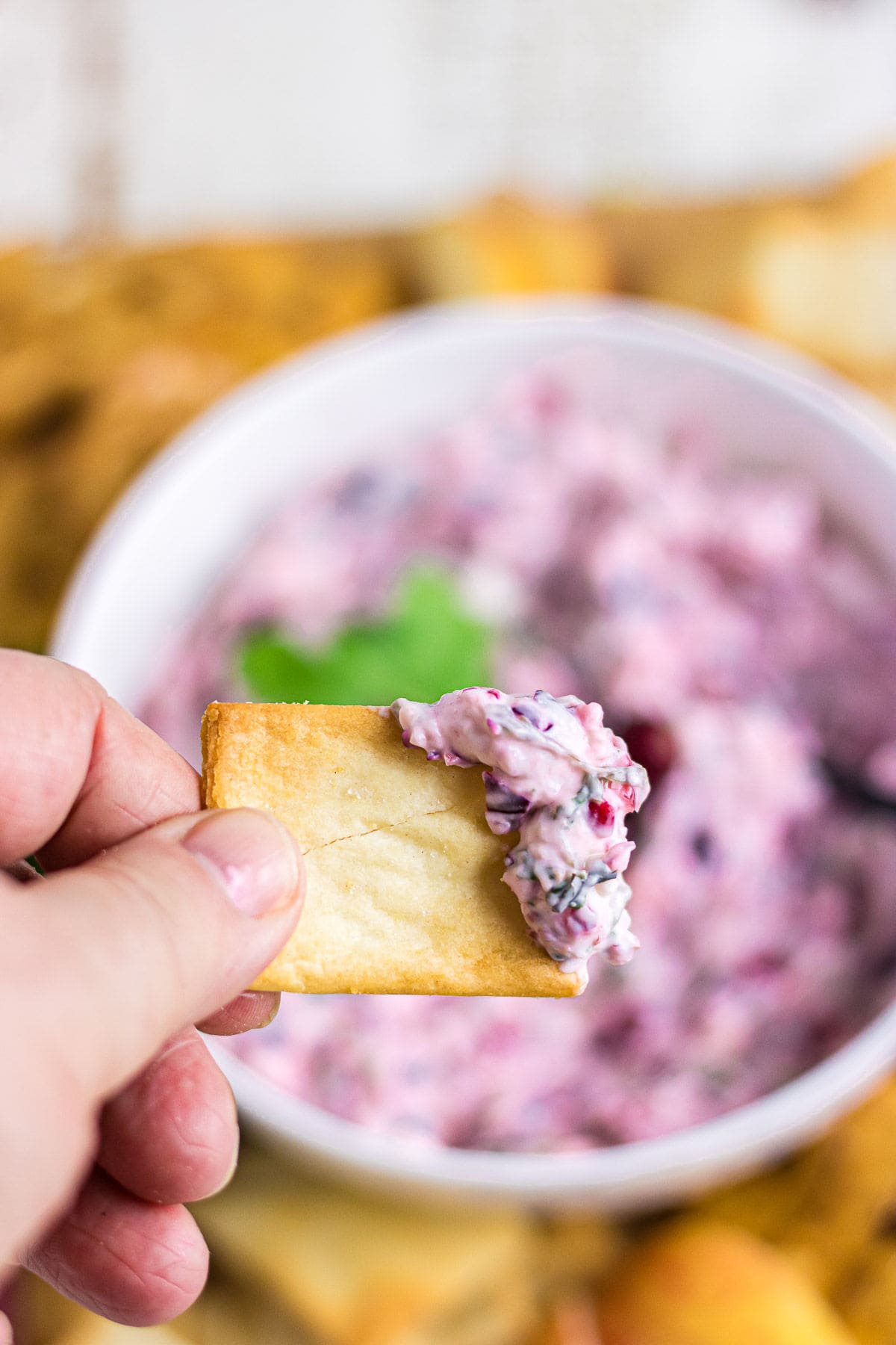 A scoop of cranberry jalapeno dip on a pita cracker. 