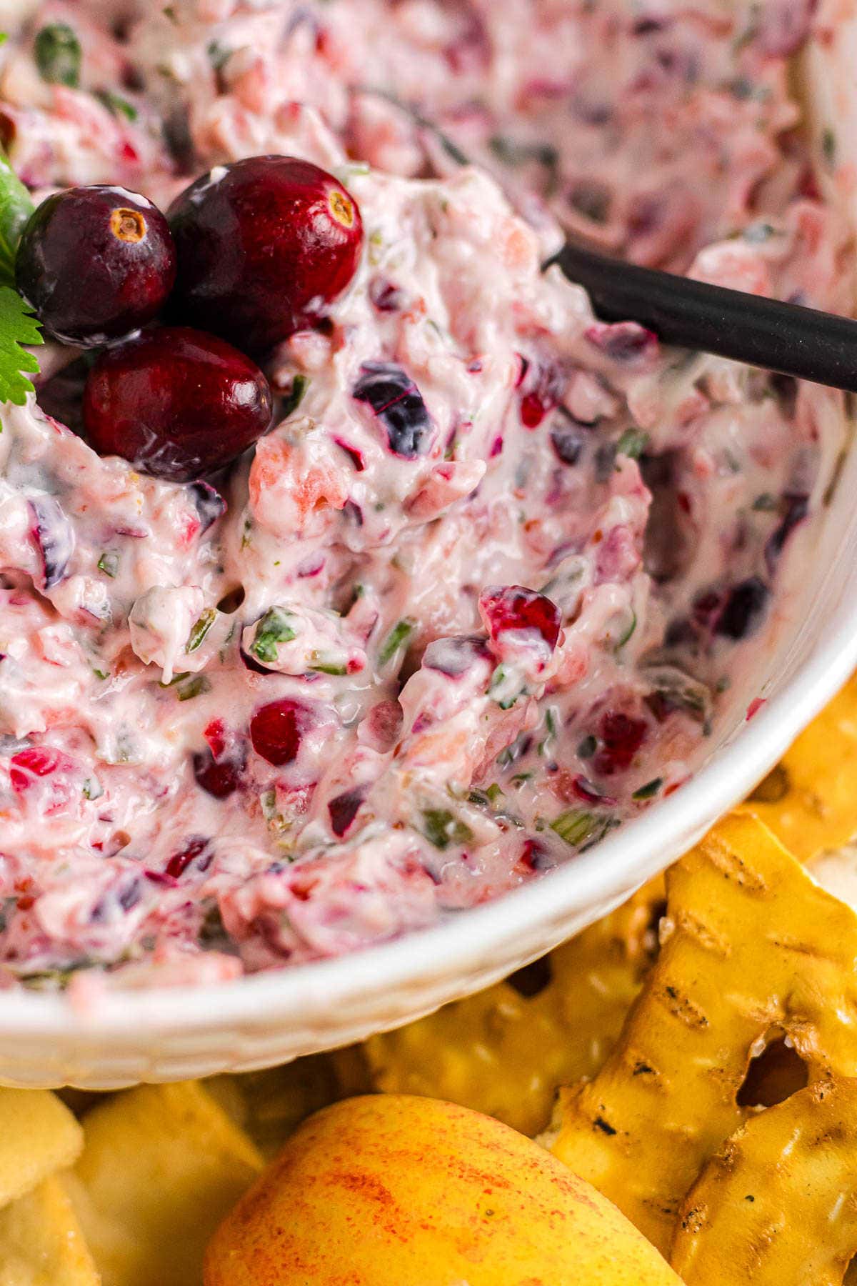 An up-close photo of cranberry jalapeno dip in a white bowl, showing the texture of the dip.
