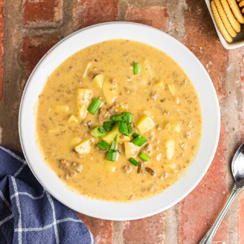 Closeup overhead view of a bowl of cheesy soup with sliced green onions on top.