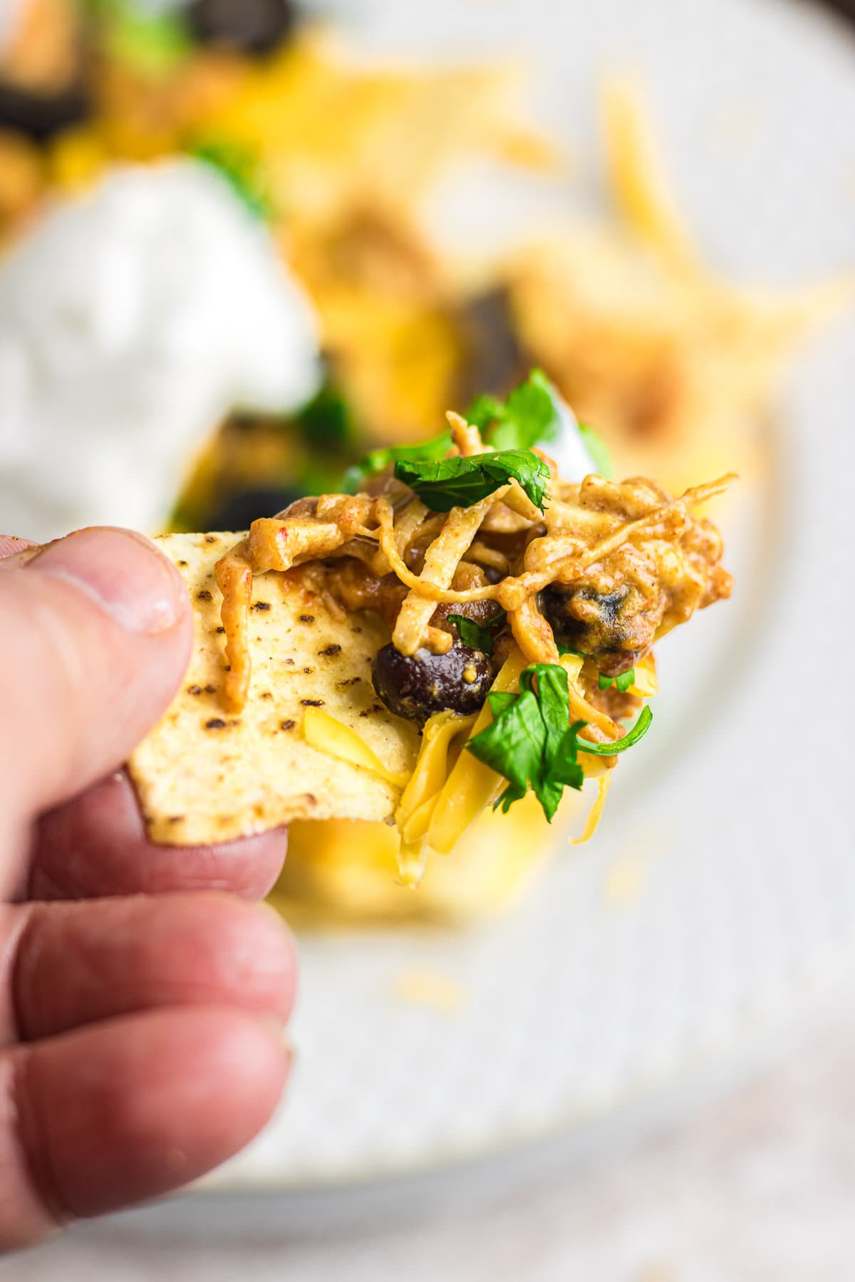 Creamy chicken dip is scooped onto a nacho chip.