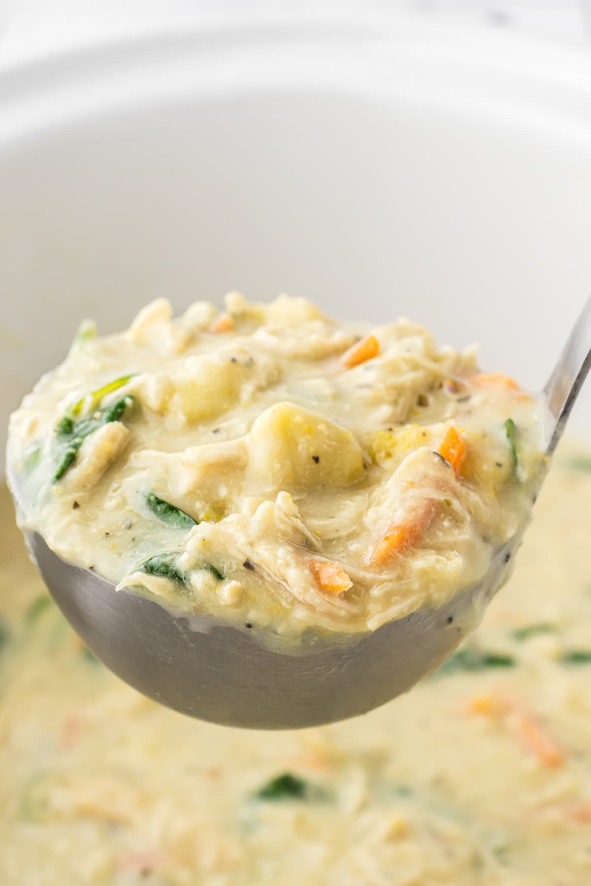 A ladle full of chicken gnocchi soup.