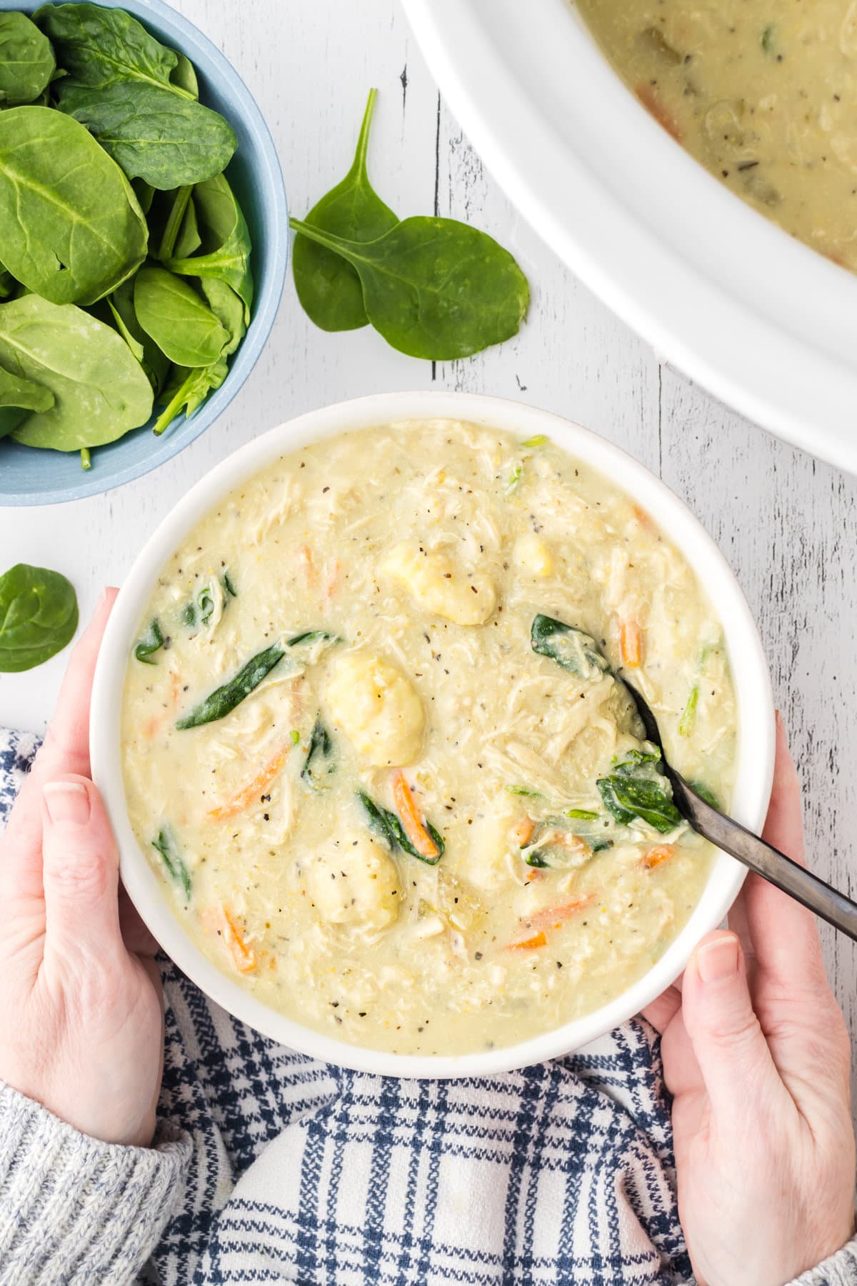 Hands holding bowl of chicken gnocchi soup.