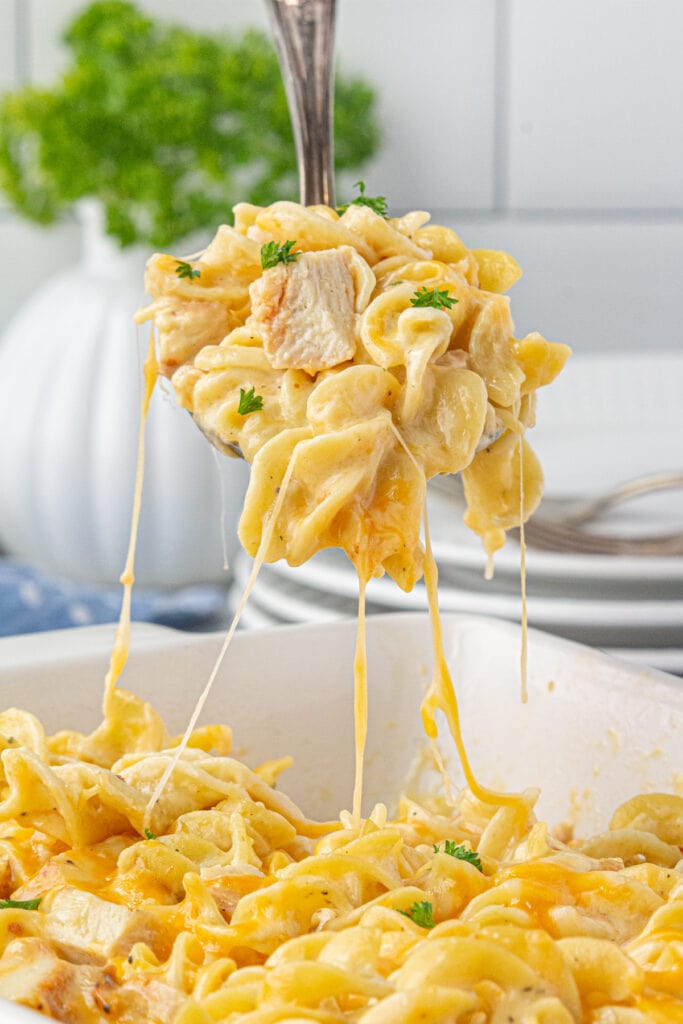 A scoop of chicken and noodles being lifted from the casserole dish.