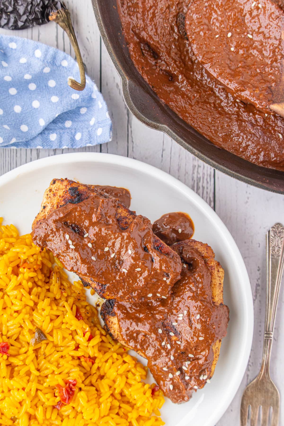 Mole sauce spooned over grilled chicken on a plate. Serving suggestion.